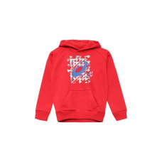 Худи GRAPHIC HOODIE ASICS