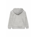 Худи GRAPHIC HOODIE ASICS